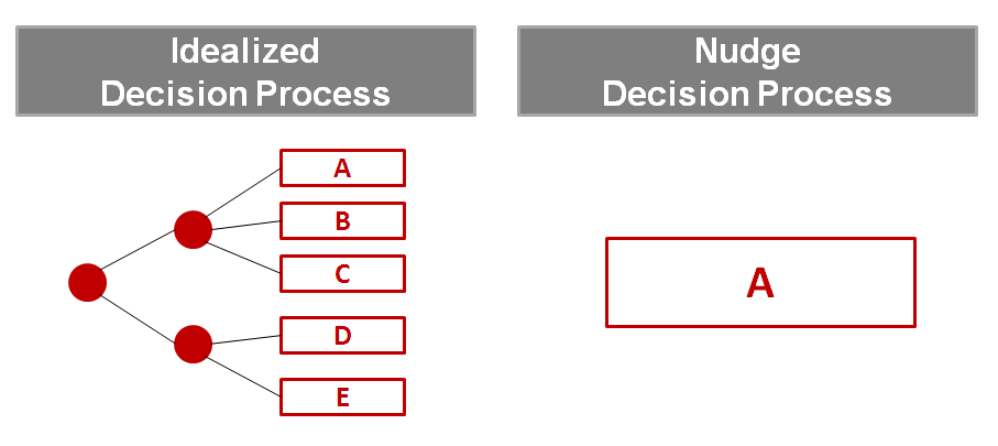 Nudge Decision Process