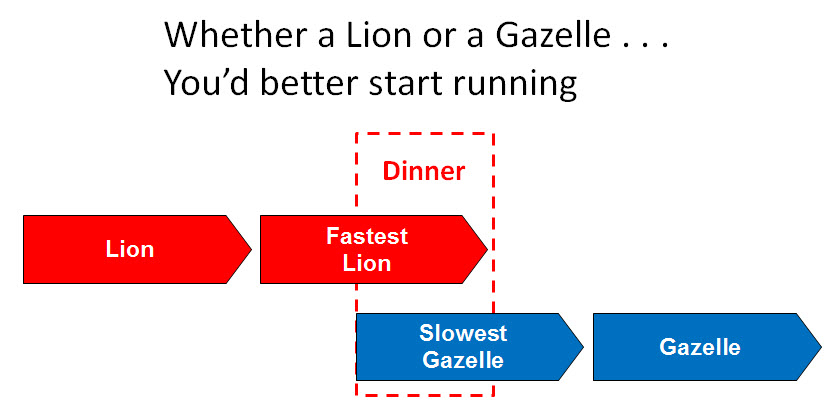 Consultantsmind - Lion or Gazelle