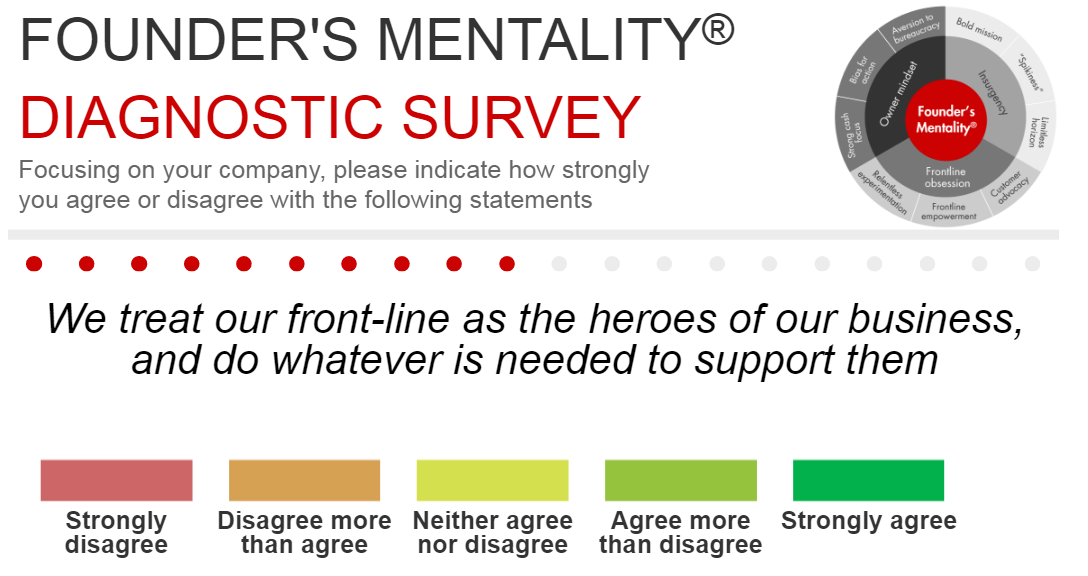 consultantsmind-founders-mentality-diagnostic