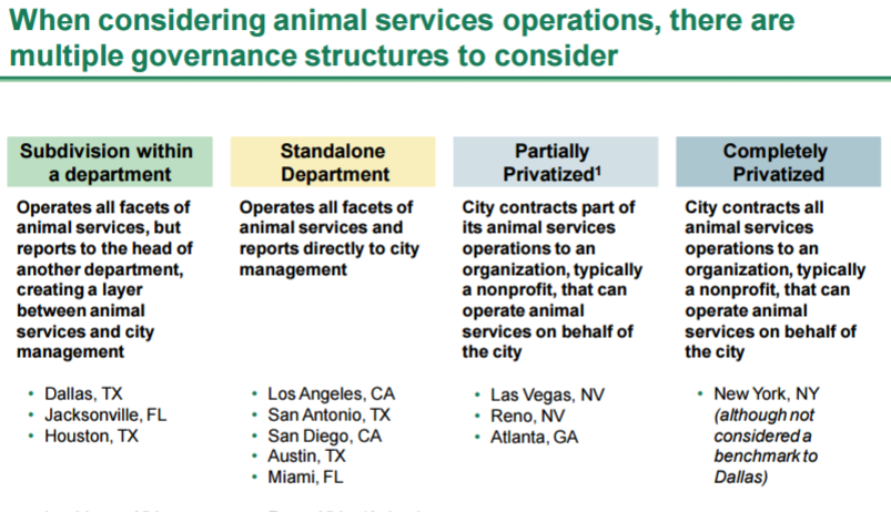 Bcg Organizational Chart