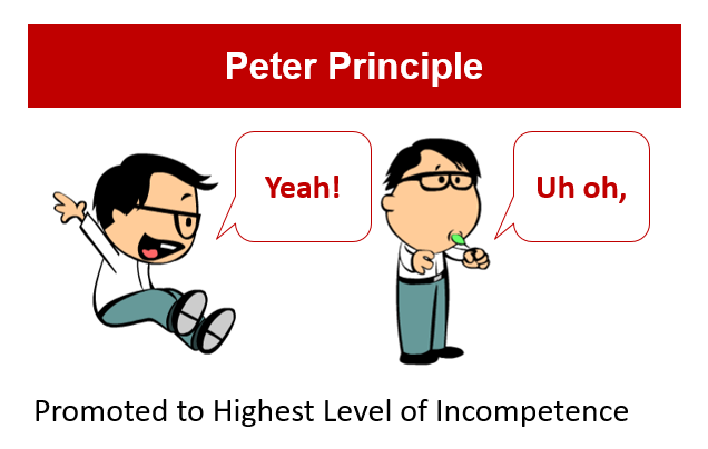Consultantsmind-Peter-Principle.png